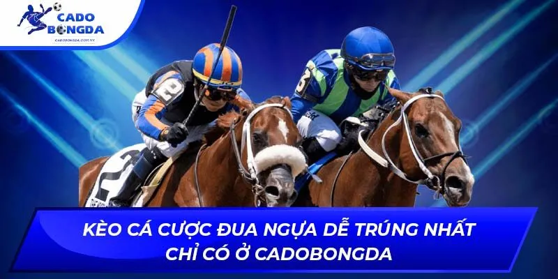 kèo cá cược đua ngựa