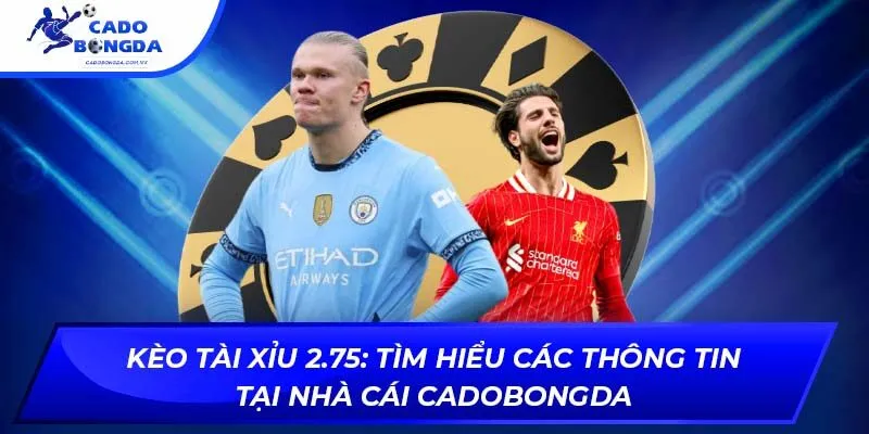 Kèo tài xỉu 2.75: Tìm hiểu các thông tin tại nhà cái cadobongda